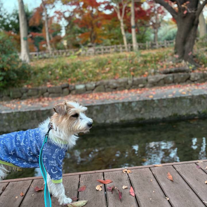 6888f881 6bce 437d a5ee 5d721998375c 1764675534472