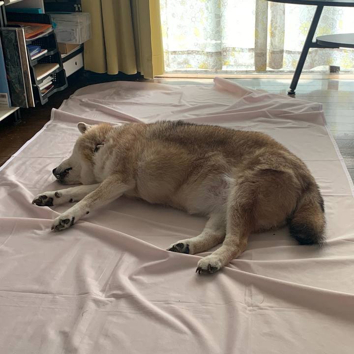 68894a88 89a9 49db 991c ca765eaf50ec 1659162948914