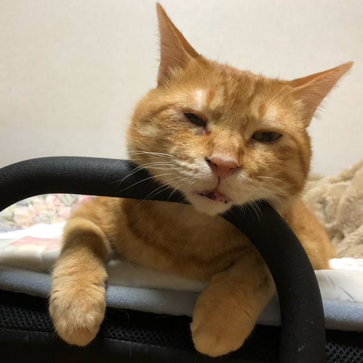 688950b4 87f2 4fd2 9eb4 1172696b25ca 1624972193499