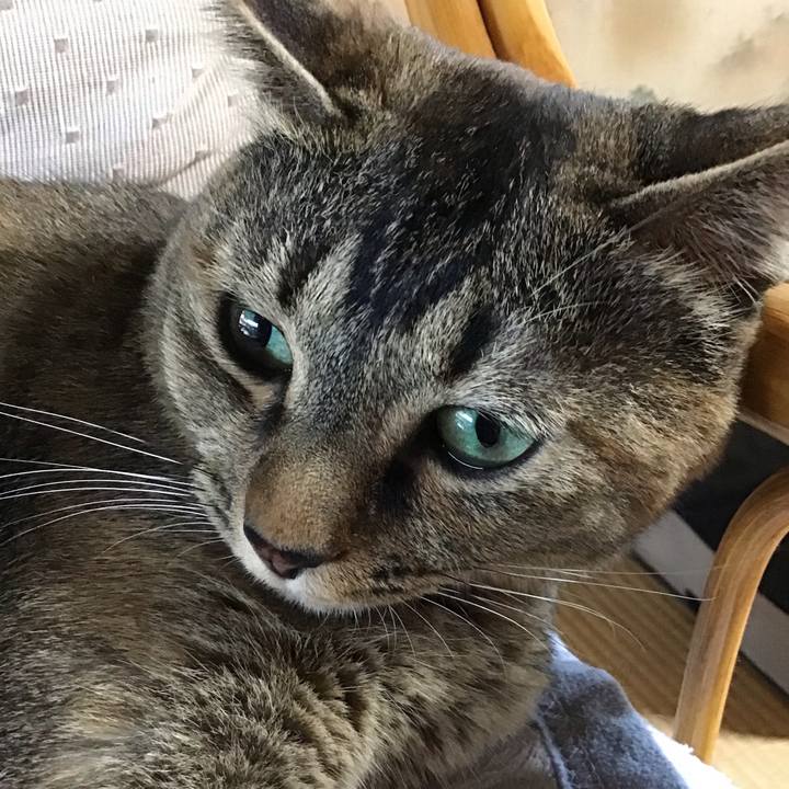 688950bf a1c1 4977 890b a215a18d56da 1627982245665