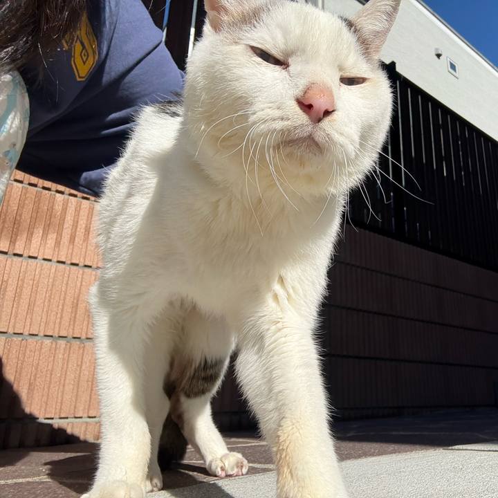 6889acd4 1176 4572 9760 c7c90323d357 1765771869755