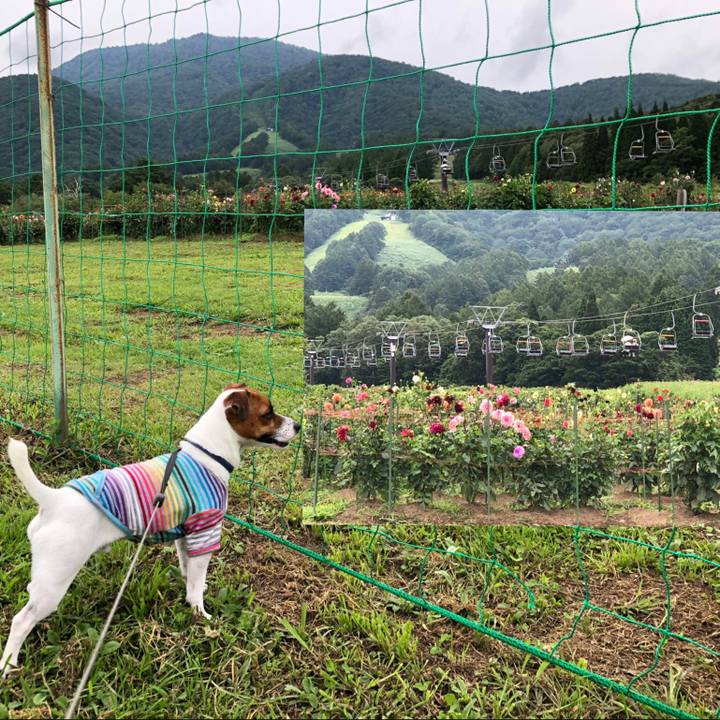 6889c39c b3d8 4886 9036 0f7154311716 1566888322814