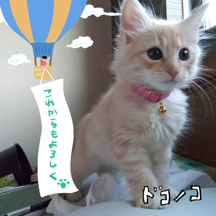 6889d48e ddfa 4481 a519 4ab22fda2a9b 1686005013912