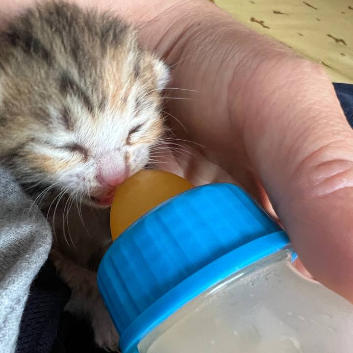 6889e3fe d08a 4291 aeca 0492cab7710a 1689216926910