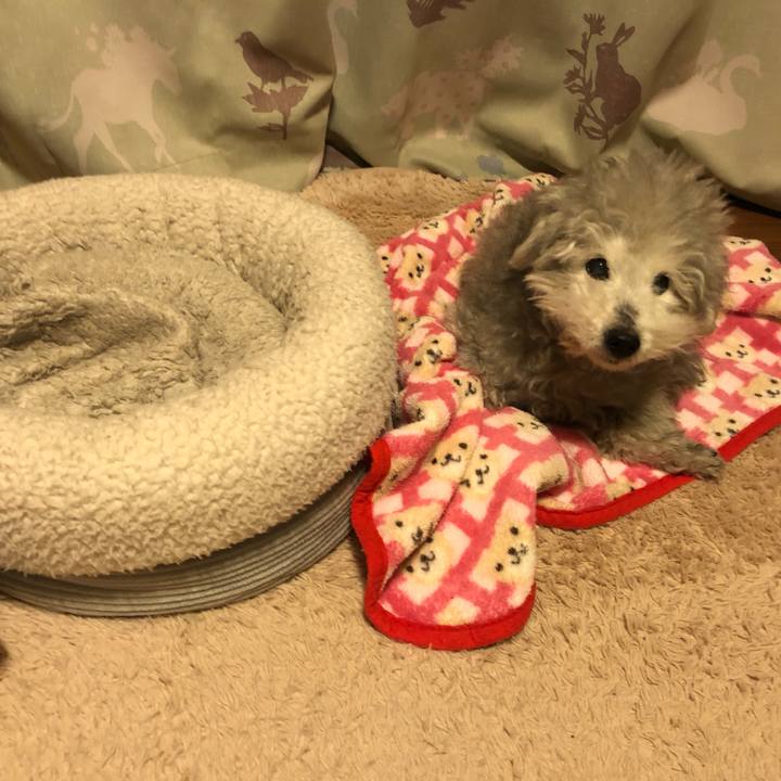 688a245c 8e73 44bd befd 44c6d360624d 1615812106550