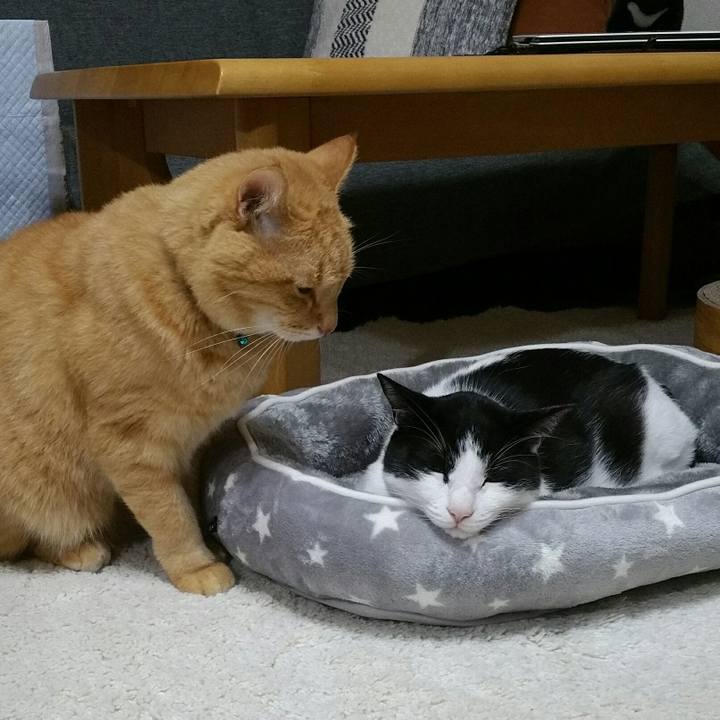 688a2eda 2106 4746 83b4 b6379bd3abfd 1571263062422