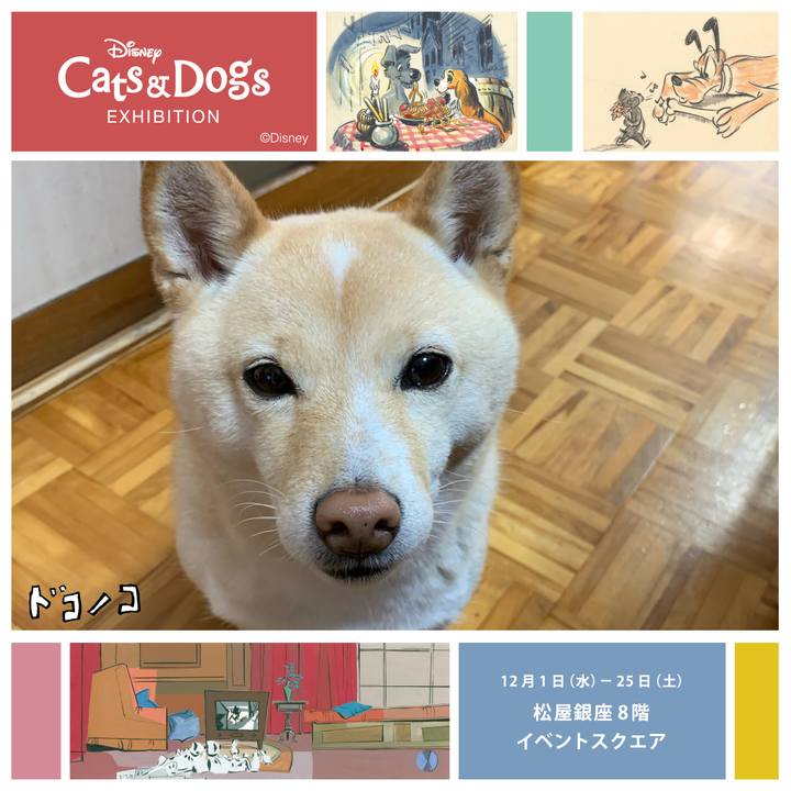 688a2f6d 0417 4963 b947 f349cae0abd6 1638484619384