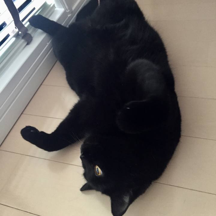 688a51de ec7d 4356 ab84 e9c576636afd 1533073306257