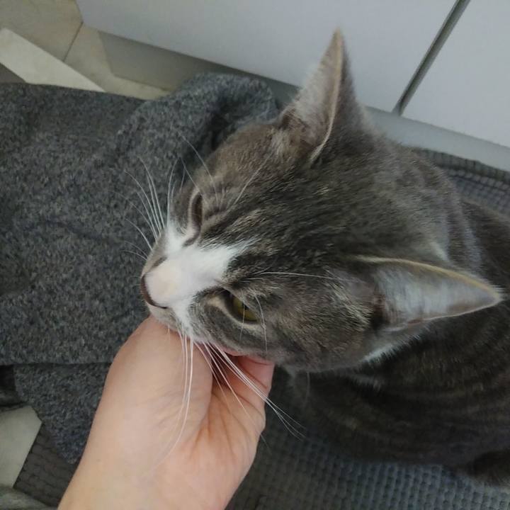 688a8507 1672 47d6 9529 d4f925a99bf2 1582412115113