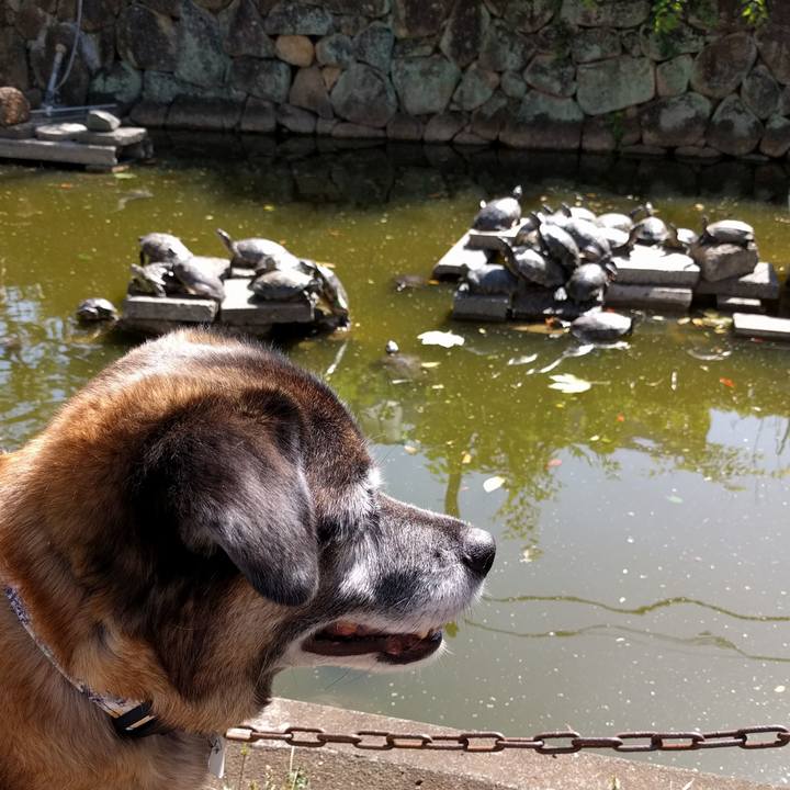 688abea2 e199 44ff 900d 2947140c3bb8 1726962163018