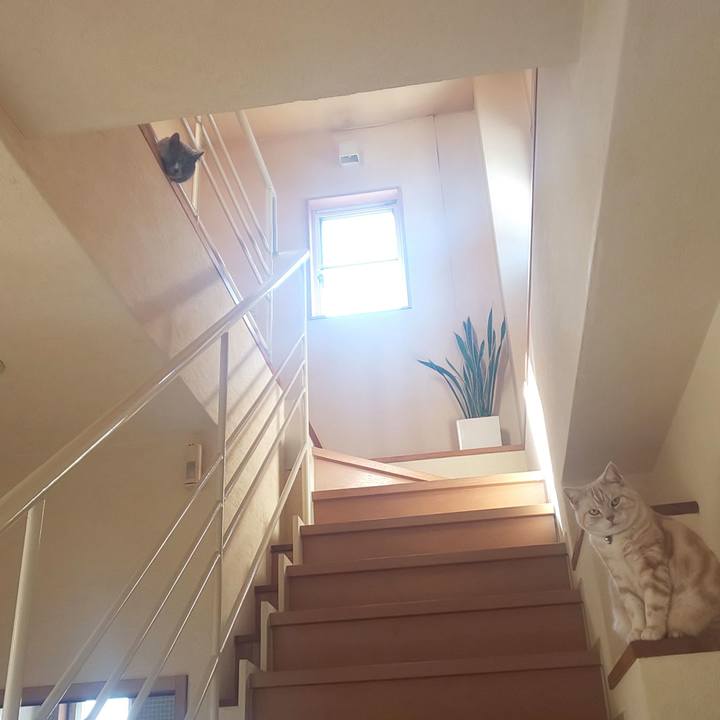 688af38a 2e61 4250 a73b 49e46f6573df 1553405457341