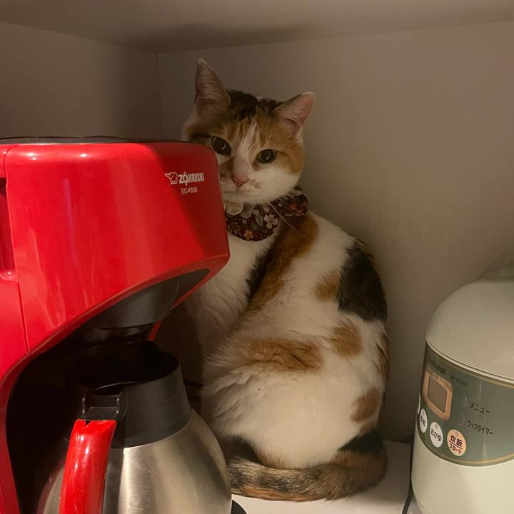 688b077c b0d2 4bd3 bcc6 42e648180cc7 1747571924381