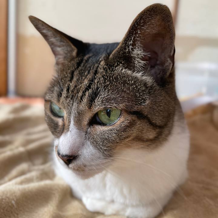 688b3221 dfa3 4d46 8e38 e4c6b8dc4b6a 1603676185252