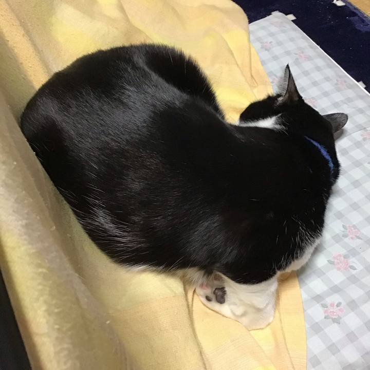 688b3a92 e9c4 4e7f ba35 30a3433c933e 1708300409400