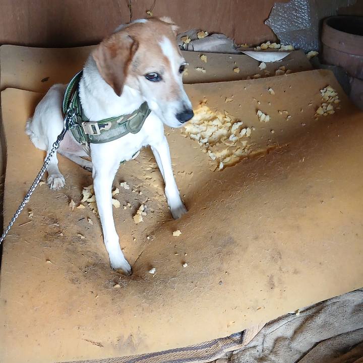 688b540e b826 47a8 ab1e 5c5baa13023b 1750928821922