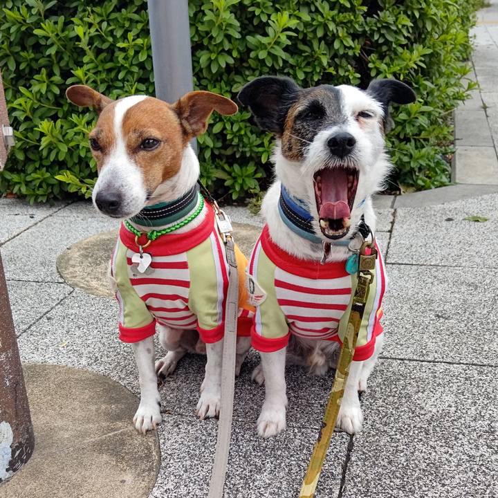 688bc59e c095 48f7 b0f8 35e2fc57e00d 1699741820130