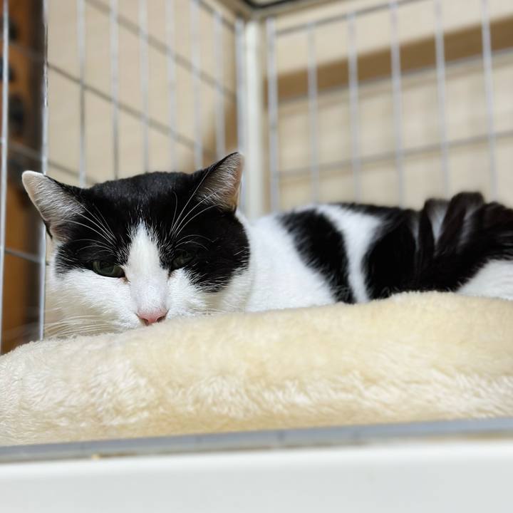 688be54b fe27 454d 9d68 a560154ca06e 1703816059252