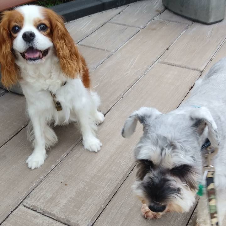 688bf9cf a21d 4961 83fa dd8013318435 1537056218029