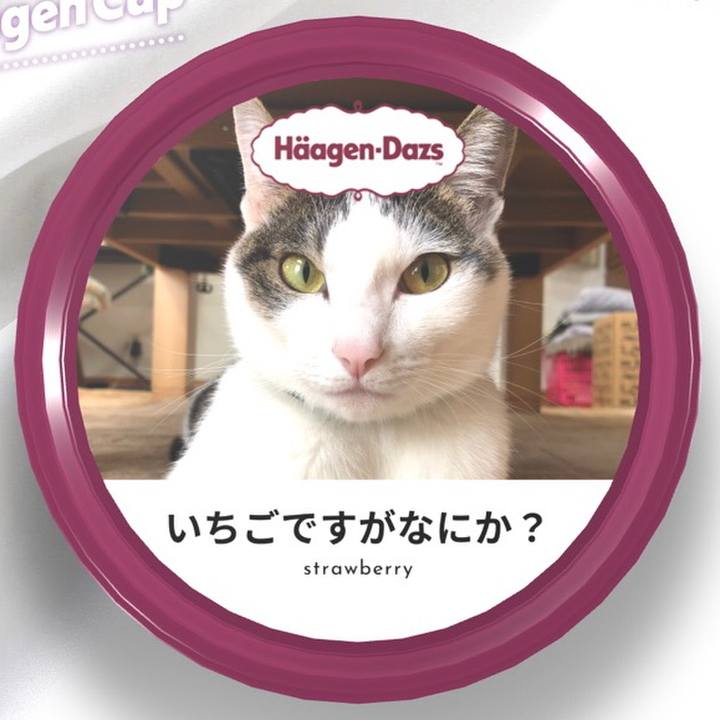 688c12e7 8c94 4876 8971 e8d8654aaf2e 1607517185925