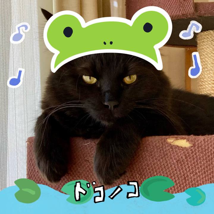 688c13f7 9547 4193 ba32 a564951956a6 1717647488339