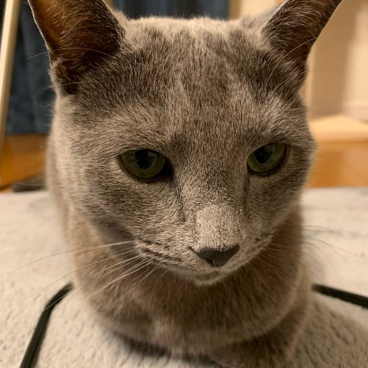 688c3640 8424 4f2d 85ae 6e7d1faae631 1650108683959