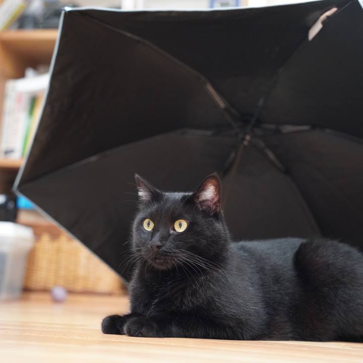 688c573b 851b 45b2 be16 1fe6a930f420 1658221656745