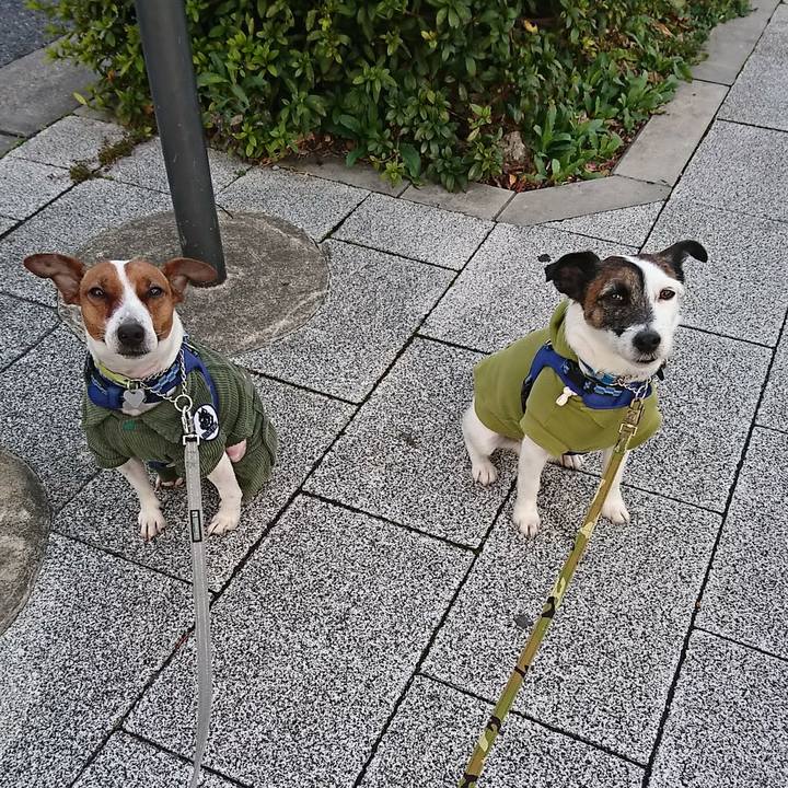 688c85d9 c7fe 4479 85c8 51e9e28629dd 1582581220494