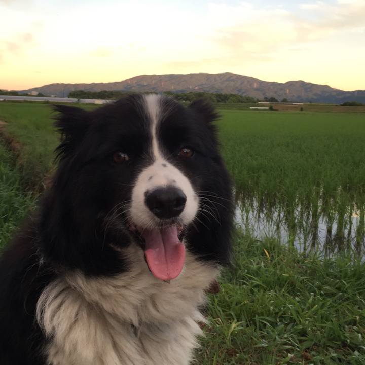 688cc4a7 92e2 4f77 b60d 2120ad56097a 1532118863335