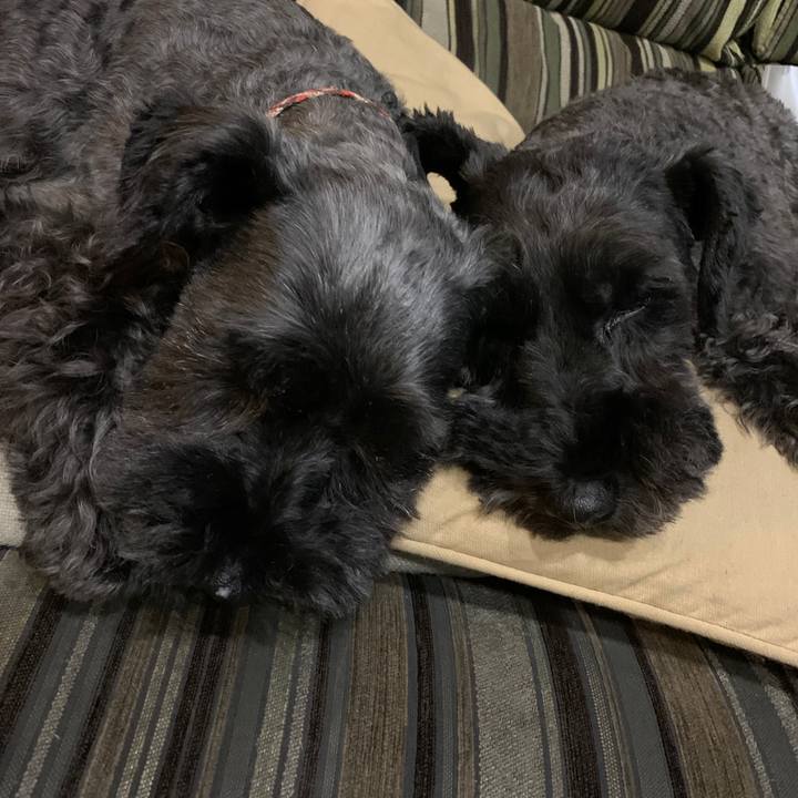 688ccde4 8e14 4620 96f2 cb466f29b508 1598361554415