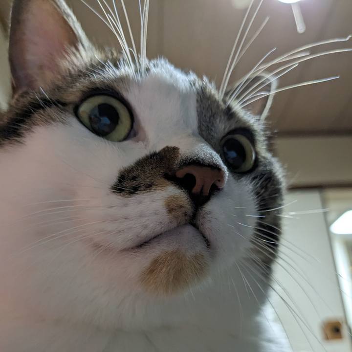 688cfad2 ac09 4268 9345 2135fff4c6d1 1699183348379