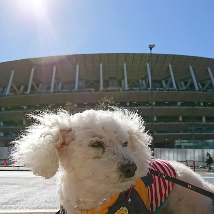 688d032a 19ca 4795 8419 29af66ce9476 1580556671019