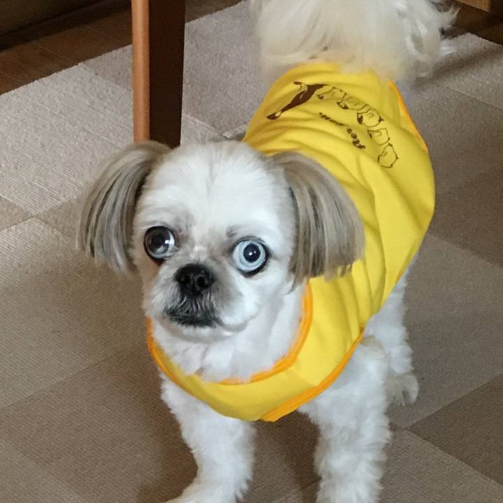 688d1e50 4e41 4a05 8142 ce6d47d15171 1596612674347