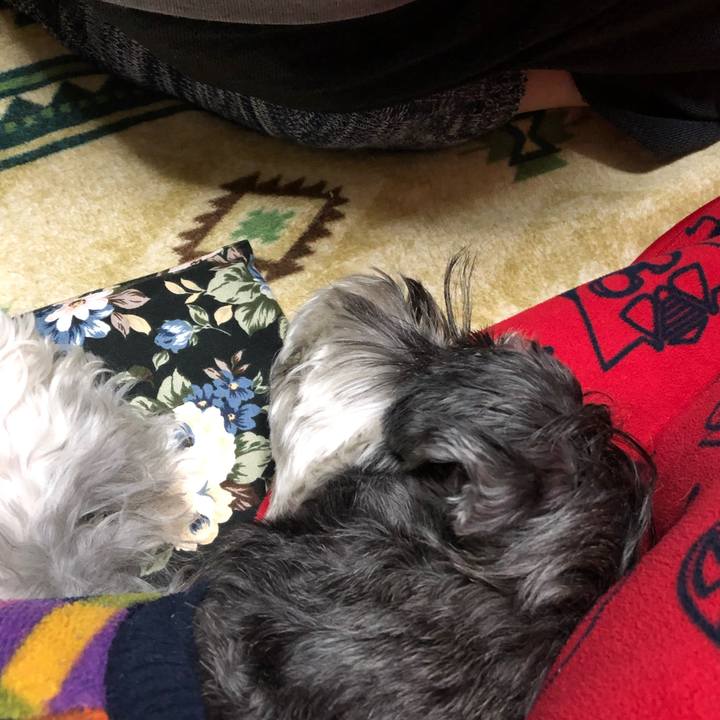 688d22dd 726a 43fb b009 463c48118c19 1670500509198