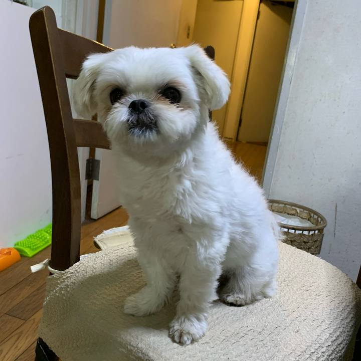 688d2de1 e729 4516 b6df 567e0e9aedcf 1701596548903