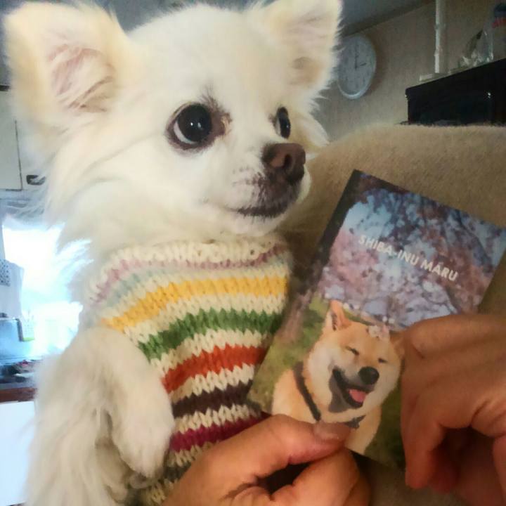 688d5391 f92d 4f81 be37 83a3cec25bdd 1514898787525