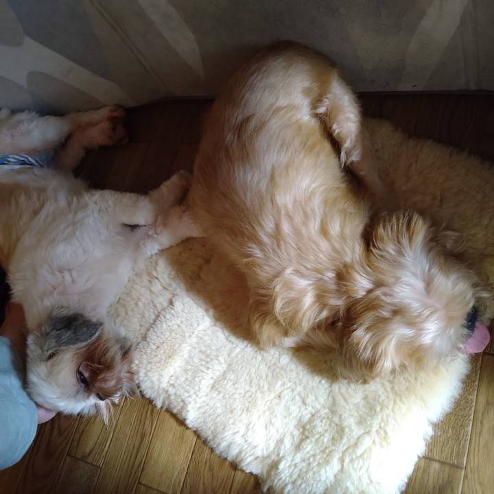 688d793f c688 40a9 862a 5d14e65f2d89 1599011500479