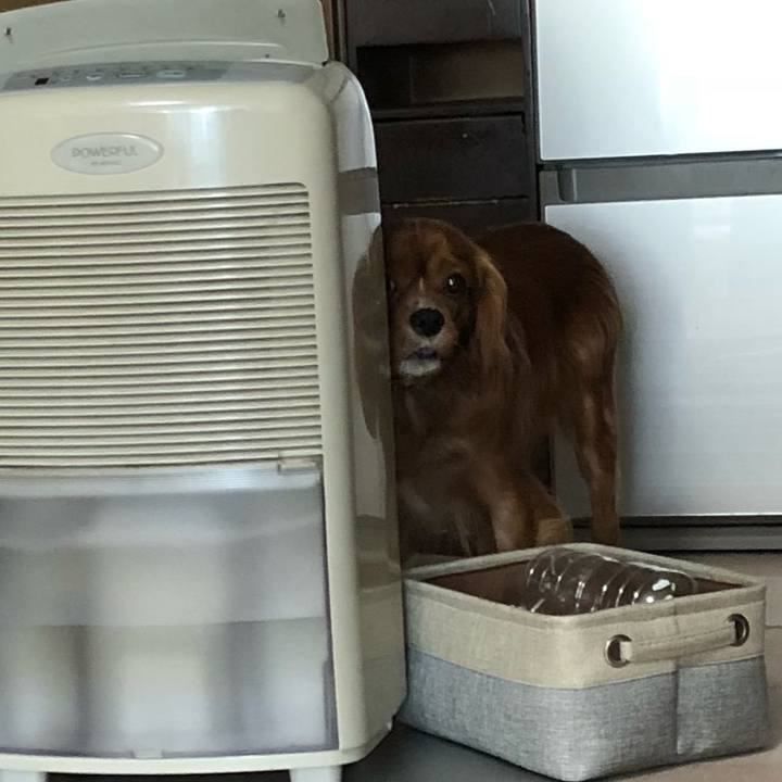 688da61a 4b65 4e63 84eb 61e6eabd6370 1533594190231