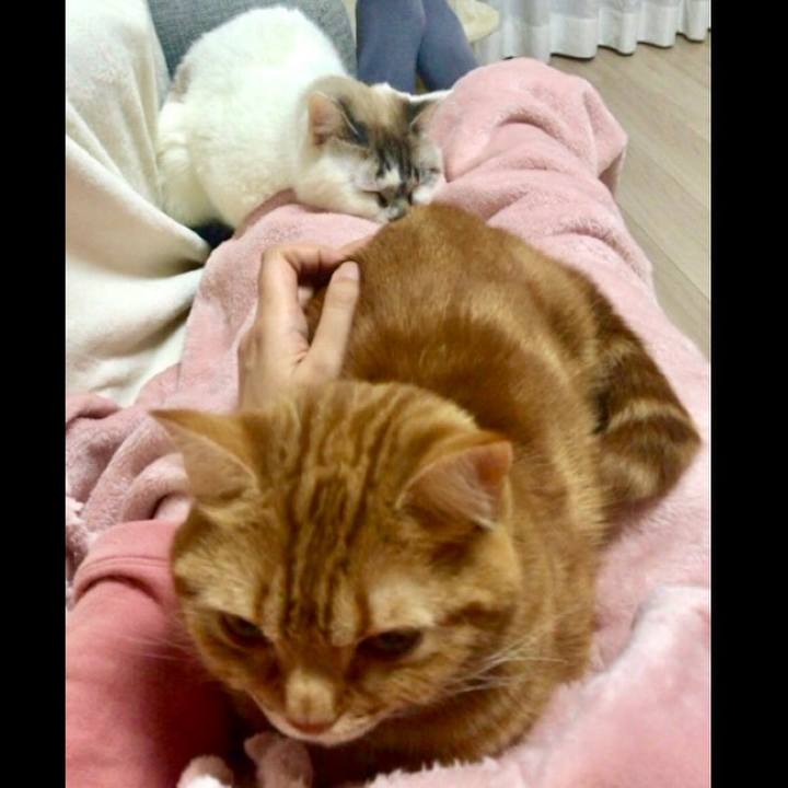 688dc246 5ab8 4ea1 98b7 21f5638b192f 1551096692034