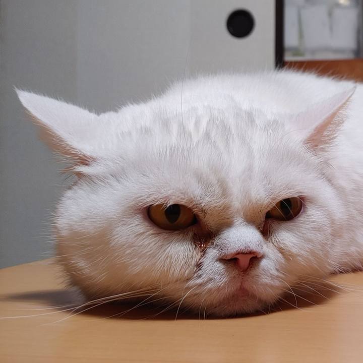 688dff7c f8a6 4166 ab0c 8f0dad61e215 1659126061042