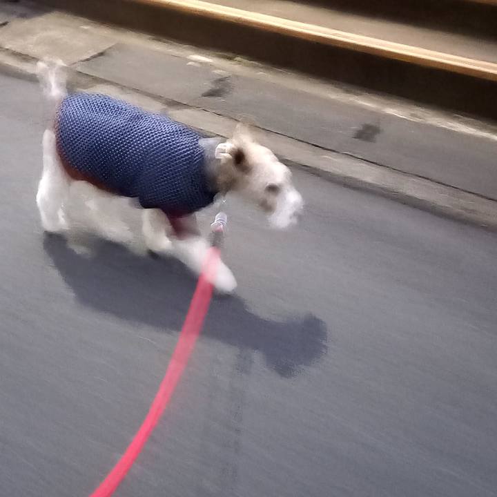 688e2509 60de 4d14 86b4 d96b741cedb5 1612481392689