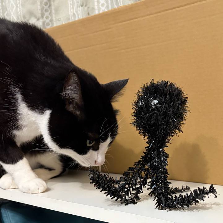 688e3ddf 8901 4980 8aeb b396b8eb00a2 1765705692137