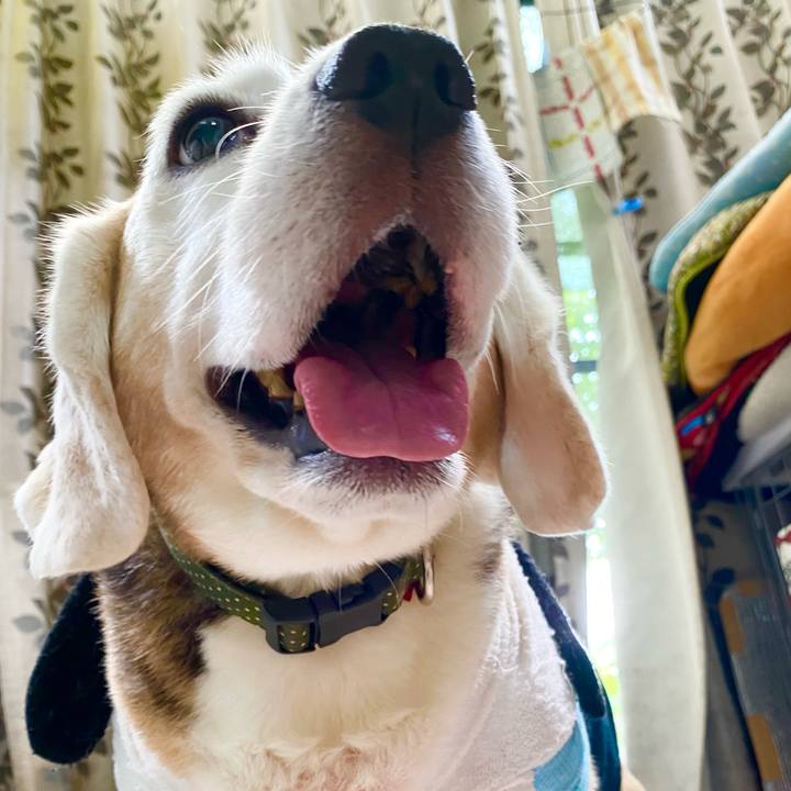 688ee8af 1832 4b2a a64a 314d2e6e4129 1659929908605