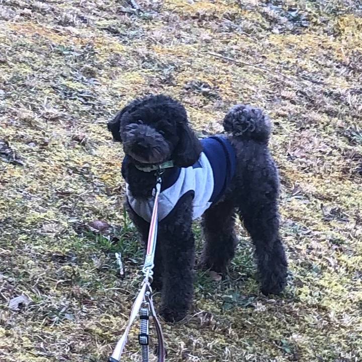 688eeae5 0c64 47de b85b fa1925adf461 1610714920178