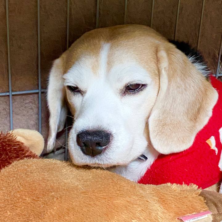 688f1d37 20bc 4728 b4ee 0262bb69df4c 1581740014655