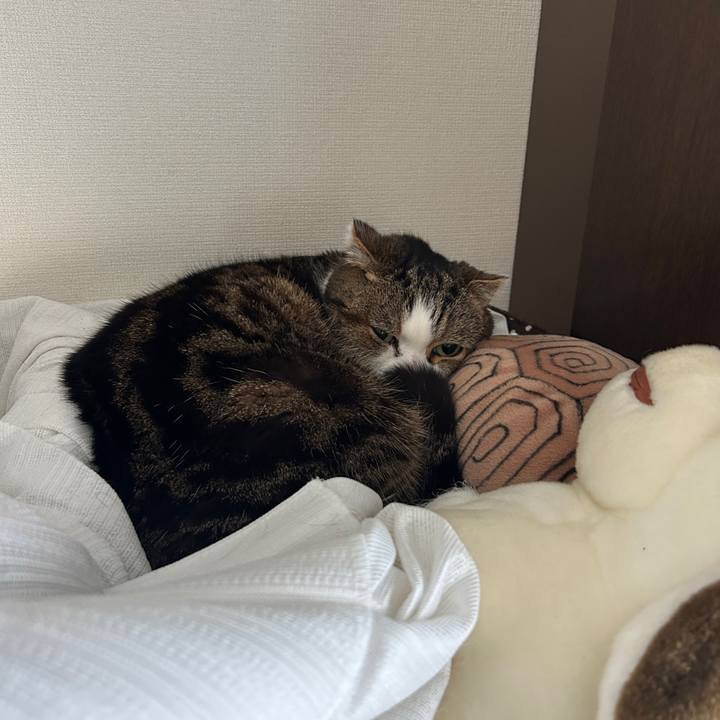 688f372b ab3d 467f 934e 38e8a645f112 1773012148873