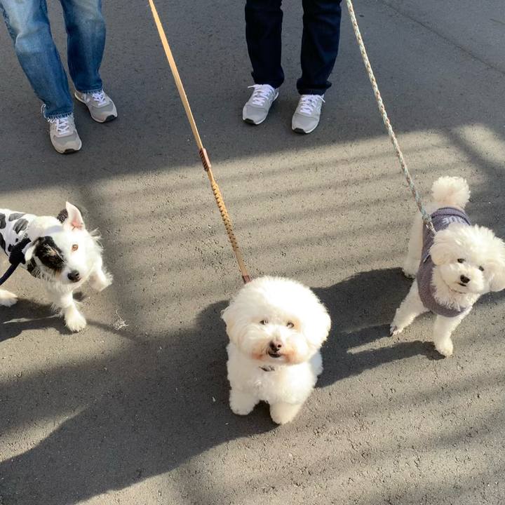 688f51c4 a26f 4130 806a 8074e645da07 1733878056674