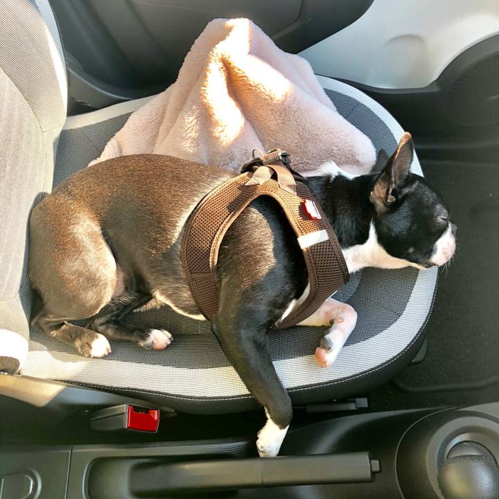 688f627a e0c5 4c0d 81e5 ece3acce3985 1513921774686