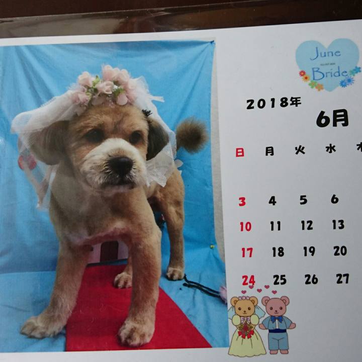 688f6e4e 5cc9 4cc1 9734 1ca3af4619c8 1525820116228