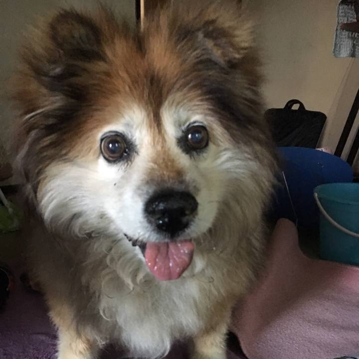 688f8a9e 530b 4886 a6fa 745346cef22a 1560731398055