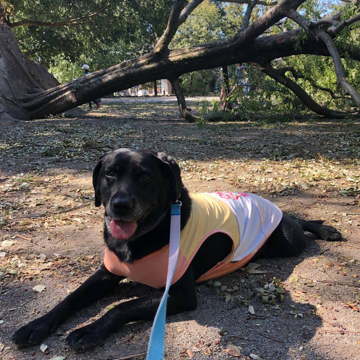 688fa333 4eb0 44d0 a288 14787fba4a03 1538442883846